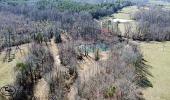 2665 Mt. Carmel Rd, Altoona, AL 35952