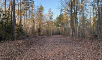 Tbd Spann Road, Batesburg Leesville, SC 29006