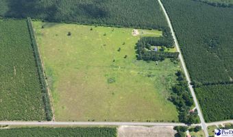 2645 Ashland Stokes Bridge Rd, Bishopville, SC 29010