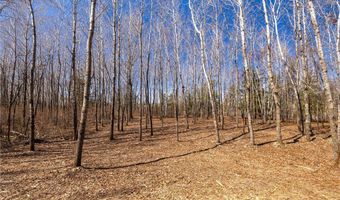 Tbd 285th Avenue, Akeley, MN 56433