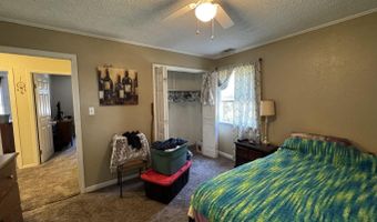 20 Diane Ave, Ash Flat, AR 72513