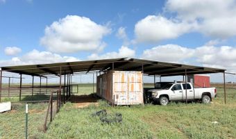 17707 County Road 2300, Abernathy, TX 79311