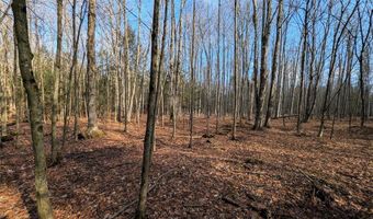 South Road, Addison, NY 14801