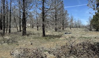 31763 Godowa Springs Rd, Beatty, OR 97621