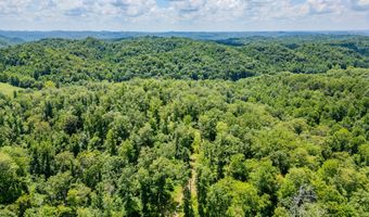 2291 Blankey Branch Rd, Beattyville, KY 41311