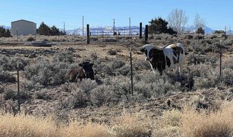 1290 Jo Ln, Gardnerville, NV 89410
