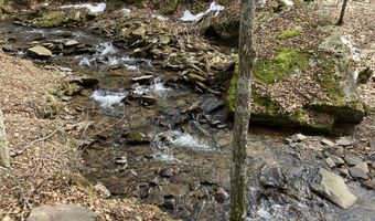 0 TBD Elleber Sods Rd, Bartow, WV 24920