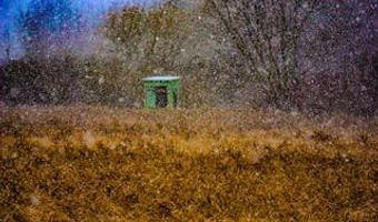1991 N Concord Rd, Albion, MI 49224