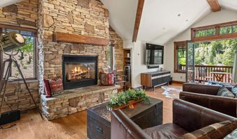 503 W Main St B202, Aspen, CO 81611