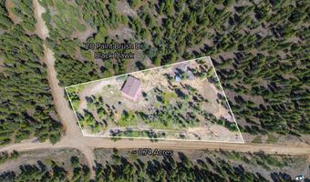 20 Paint Brush Dr, Black Hawk, CO 80422