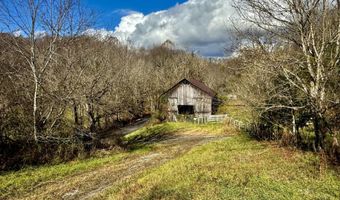 1520 Brittontown Rd, Afton, TN 37616