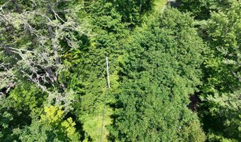 Denio Road, Barnet, VT 05821