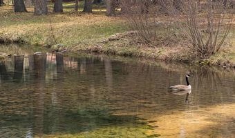 830 Mushroom Ln, Bayfield, CO 81122