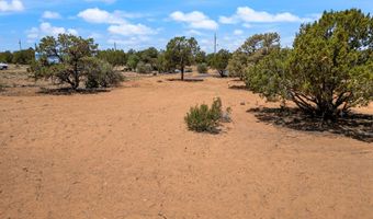 6 County Rd 8021, Concho, AZ 85924