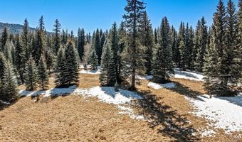 201 Golden Forest Rd, Bayfield, CO 81122