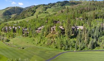 81 N Willow Ct And TBD Pfister Dr, Aspen, CO 81611