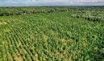 SW 120 Avenue, Archer, FL 32618