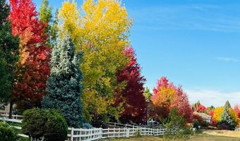 14090 Turnberry Ct, Broomfield, CO 80023