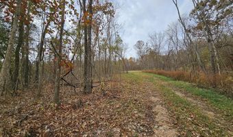 6 76 Ac Town Hollow Rd, Anderson, MO 64831