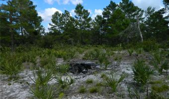 2220 N ALTAIR Rd, Avon Park, FL 33825