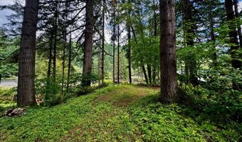 9965 BEACH Dr, Birkenfeld, OR 97016