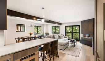 650 S Monarch Street 7, Aspen, CO 81611
