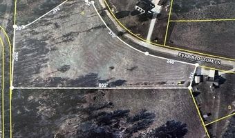 PEAR BLOSSOM Ln lot 10 And 11, Adamsville, TN 38310