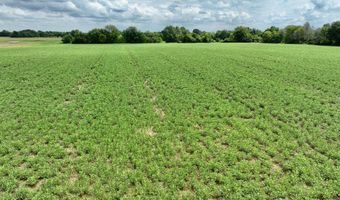 290 CR, Asbury, MO 64832