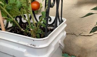 97 Calle Conejo, Arroyo Hondo, NM 87513