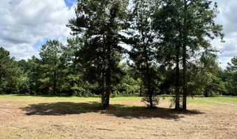 12161 Ridgeview Lp, Andalusia, AL 36421