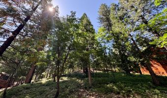 1647 Gertrude Way, Arnold, CA 95223