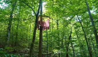 843 Wilson Mill Rd, Bassett, VA 24055