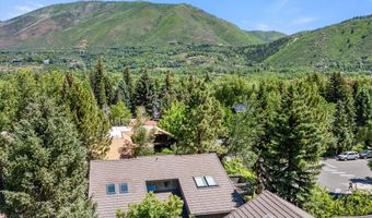 125 E Hyman Ave 1A, Aspen, CO 81611