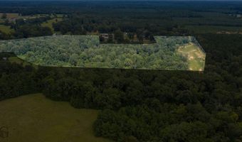 Tbd 371 Highway, Coushatta, LA 71019
