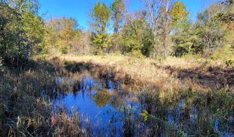 1071 LR 3, Ashdown, AR 71822