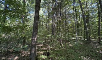 104 Th Ave, Allegan, MI 49010