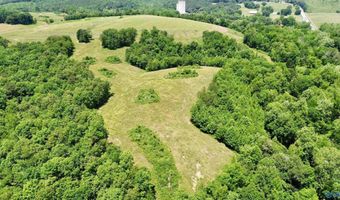 120 Carnes Chapel Rd, Attalla, AL 35954