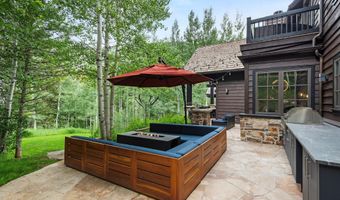 289 Exhibition Ln, Aspen, CO 81611
