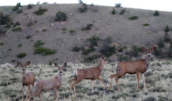 Stagecoach Spur W lot 935-3, Belfry, MT 59008