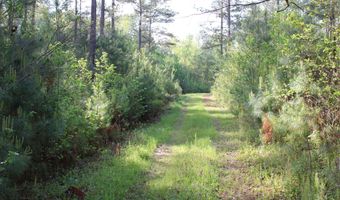 Ruffner Road 00, Barnesville, GA 30204