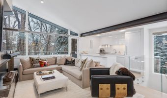1001 E Cooper Ave 1, Aspen, CO 81611