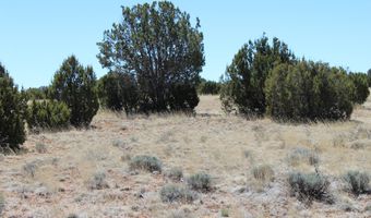 80 County Road 8620, Concho, AZ 85924