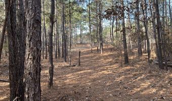 2423 Mill Creek Rd, Bethune, SC 29009