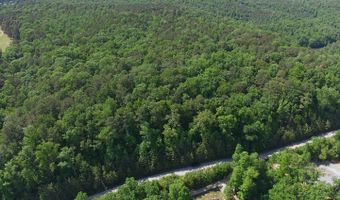 WHITE OAK Pl lot 12-A, Arley, AL 35541