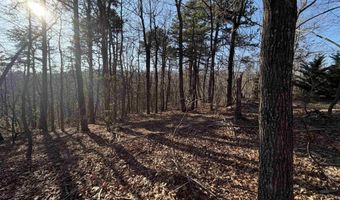 OLD STONY RIDGE RD lot 7, Afton, VA 22920