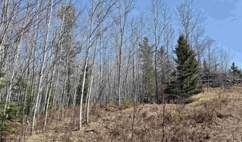 26 Acres Hilltop Kelso, Crystal Falls, MI 49920
