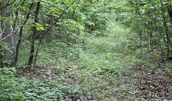 State Highway U, Ava, MO 65608