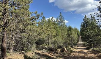 Thunderbear Road 46, Bonanza, OR 97623