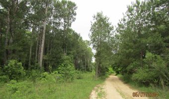 7275 Beulah Ln, Baconton, GA 31716