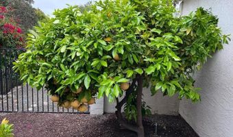 2070 Tiffany Dr, Oceanside, CA 92056